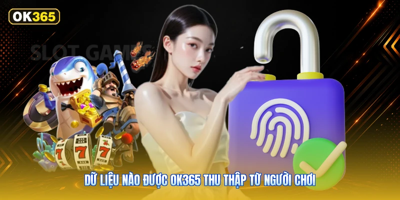 Dữ Liệu Nào Được OK365 Thu Thập Từ Người Chơi